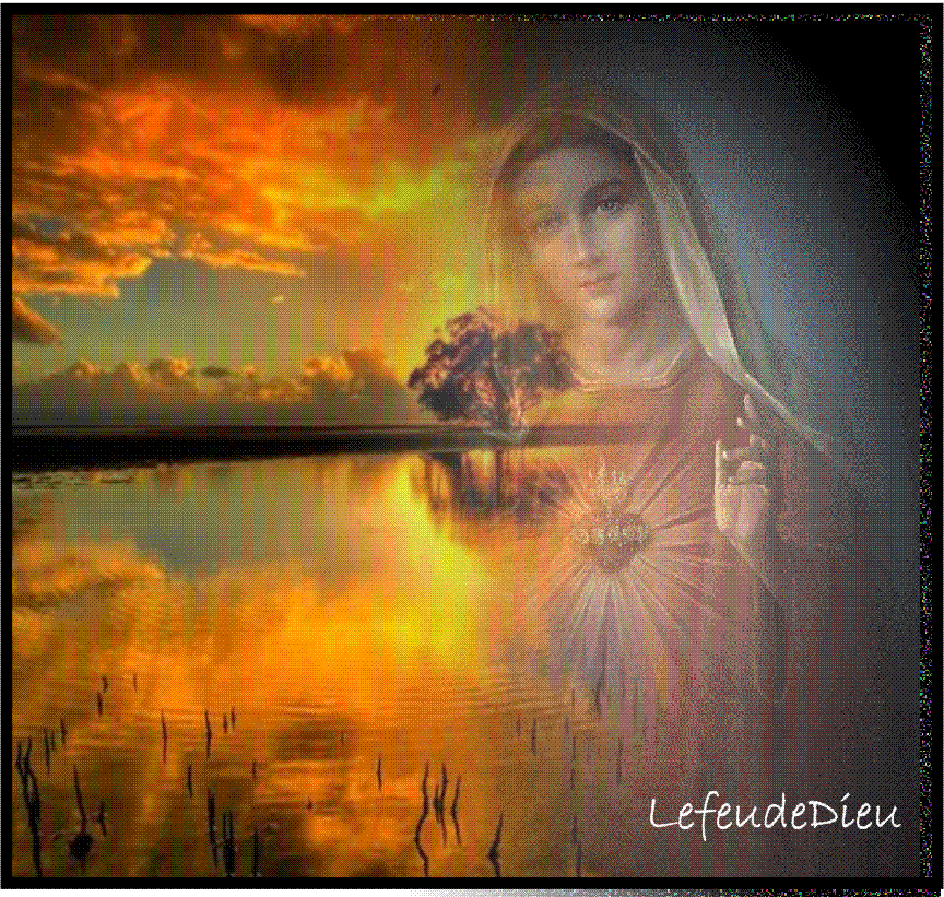 TRES SAINTE VIERGE MARIE REINE DES CIEUX