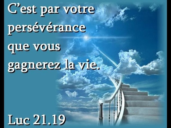 commentaire luc 21 5 19